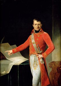 I. Napóleon portréja (1769-1821)